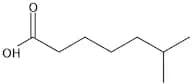 6-Methylheptanoic acid