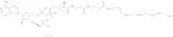 5(Z),8(Z),11(Z),14(Z)-Eicosatetraenoyl Coenzyme A Li salt