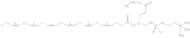 1-Palmitoyl-2-Docosahexaenoyl-sn-Glycero-3-Phosphatidylcholine