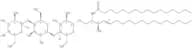 C16 Globotriaosylceramide (d18:1/16:0)
