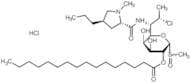 Clindamycin Palmitate Sulfoxide HCl
