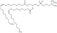 1,2-Dioleoyl-sn-Glycero-3-Phosphocholine (DOPC)