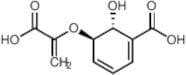 Isochorismic Acid Impurity 2