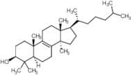 24,25-Dihydro Lanosterol