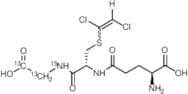 S-(1,2-Dichlorovinyl)-Glutathione-13C2-15N