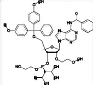 Adenosine Related Compound 13