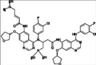 Afatinib Impurity 10