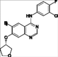 Afatinib Impurity 47