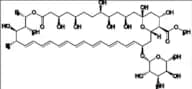 Amphotericin B Methyl Ester