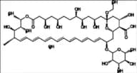 Amphotericin B EP Impurity C (13-O-Ethyl Amphotericin B)