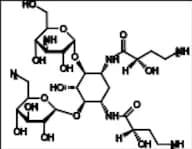 Amikacin EP Impurity B