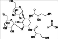 Amikacin EP Impurity B Formate