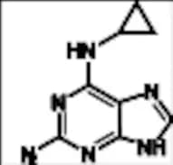 Cyclopropyl Diaminopurine Abacavir