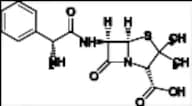 Ampicillin