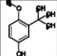 2-tert-Butyl-4-Hydroxyanisole
