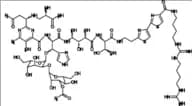 Bleomycin B4