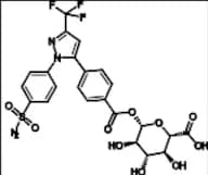 Celecoxib Carboxylic Acid-Acyl-β-D-Glucuronide