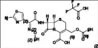 Cefotaxime Impurity 9 Trifluoroacetate