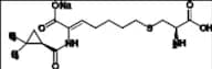 (R,R)-Cilastatin Sodium Salt