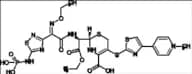 Ceftaroline Fosamil Impurity 16