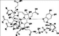 Cyanocobalamin EP Impurity B