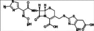 (6R,7S)-Cefodizime