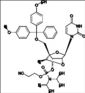 Cytidine Related Compound 5