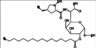Clindamycin B Palmitate HCl