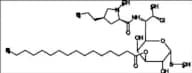 Clindamycin 3-Palmitate