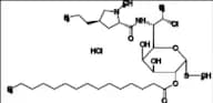 Clindamycin Pentadecanoate HCl