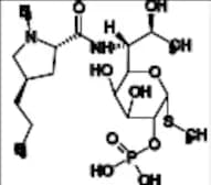 Clindamycin Impurity 30