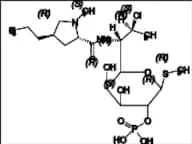 Clindamycin Impurity 31