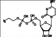 Cytidine Diphosphate Ethanolamine (CDPEA)