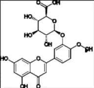 Diosmetin-3-O-Glucuronide