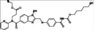 Dabigatran Etexilate USP Related Compound A