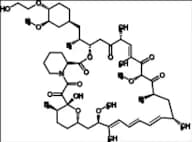 Everolimus Related Compound 7