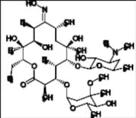 Erythromycin A 9-Oxime (Z-Isomer)