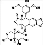 Etoposide EP Impurity B (cis-Etoposide)