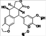 Etoposide EP Impurity E (Podophyllotoxin EP Impurity B, Teniposide USP Related Compound A, 4'-Deme…
