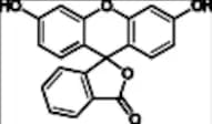 Fluorescein