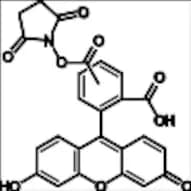 5(6)-Carboxyfluorescein N-Hydrosuccinimide ester