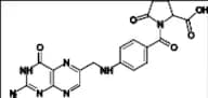 Pyrofolic Acid