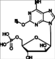 Fludarabine Phosphate EP Impurity J