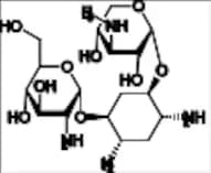 Gentamycin sulfate Impurity 1