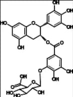 (-)-Epigallocatechin Gallate-β-D- Glucuronide C