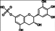 (-)-Epigallocatechin-7-Sulfate