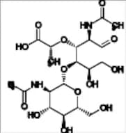 N-Acetyl-4-O-[2-(acetylamino)-2-deoxy-ß-D-glucopyranosyl]muramic Acid