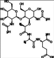 N-Acetyl-β-D-Glucosaminyl-N-Acetylmuramyl-L-Alanyl-D-Isoglutamine