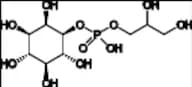 alfa-Glycerophosphoryl Inositol