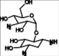 Kanamycin A Related Compound 2